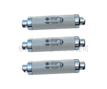 XRNT-12/160型熔断器  质量可不是盖哦&nbsp;&nbsp;XRNT-24&nbsp;&nbsp;88*442
