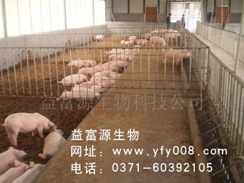 供應(yīng)發(fā)酵床養(yǎng)豬技術(shù)發(fā)酵床養(yǎng)雞技術(shù)發(fā)酵床菌種價格EM菌種價格
