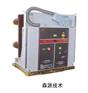 供应vs1真空断路器