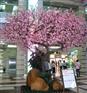 深圳市仿真桃花树价格
