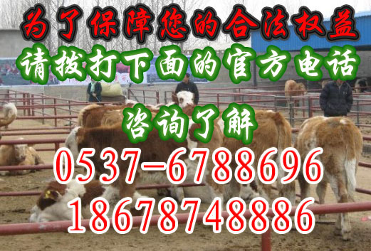 安新养羊场，安新县养羊场具体位置，安新养羊场联系电话&nbsp;&nbsp;养羊场的建设&nbsp;&nbsp;养羊场的可行性