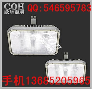 品牌厂家NFC9175长寿顶灯长寿无极顶灯价格&nbsp;&nbsp;长寿顶灯价格&nbsp;&nbsp;长寿无极顶灯厂家
