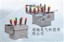 ZW8-12真空断路器