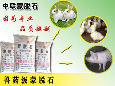 供應(yīng)雞場鴨場專用蒙脫石 獸藥級蒙脫石