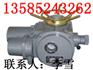 供应DZW120-24电动装置DZW180电动头