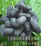 高濃度有機(jī)廢水處理技術(shù)工藝推薦，高濃度有機(jī)廢水處理專家。