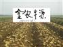 新鲜土豆种子脱毒马铃薯种植方法