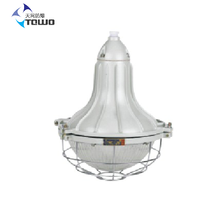 供應SFD54-250L防爆防腐燈SFD-250L