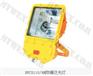 BFC8110/HN防爆泛光灯
