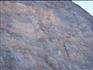 主动防护网|主动防护网|主动防护网厂