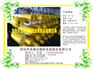 东莞批发优质网眼袋