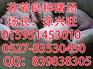 牡丹江市出售纯种梅山猪