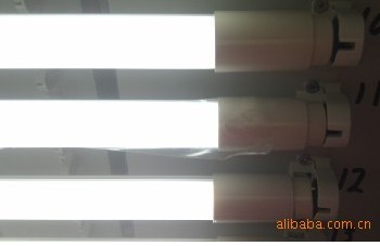 光效价格都有优势的日光灯&nbsp;&nbsp;T8&nbsp;&nbsp;灯管
