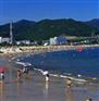 沙井辉煌人才市场最新现场招聘信息