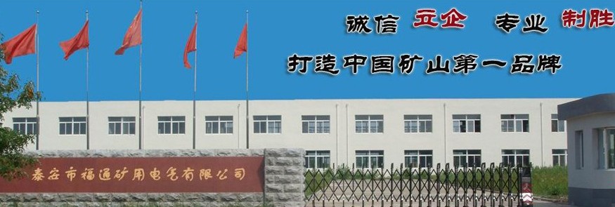 泰安市福通矿用电气有限公司