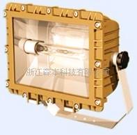 森本SBD3109防爆泛光灯&nbsp;&nbsp;森本泛光灯