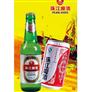 低价批发珠江啤酒 珠江纯生啤酒