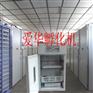 爱华孵化设备孵化机全自动孵化机的信息