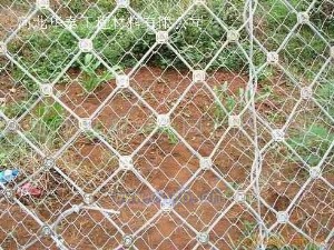 河北盛达柔性被动防护网有限公司