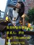 女装毛衣批发
