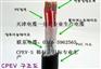 供应CPEV-S 100*2*0.8电缆