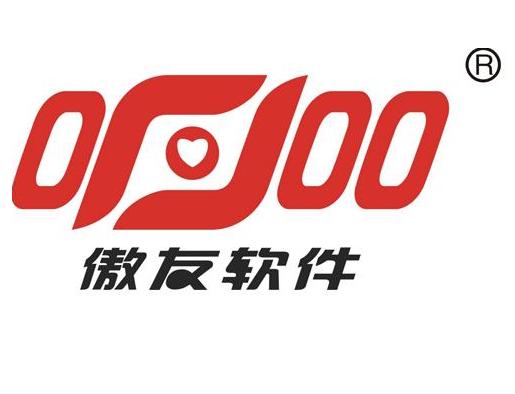 武汉傲友软件有限公司