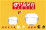创业咨询策划
