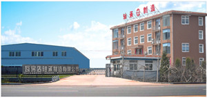 瓦房店轴承制造有限公司