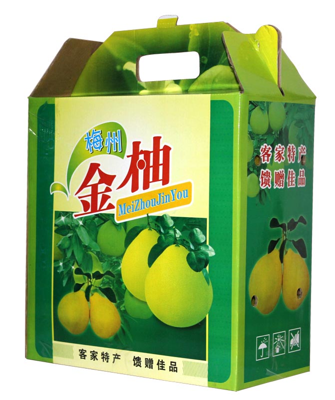 梅州特產(chǎn) 金月金柚 梅縣沙田柚
