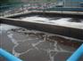 宁德市啤酒厂废水处理,宁德市最好的废水处理公司,泰成环保