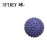 供应SPIKEY球