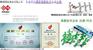 供应如何办理2013年【国家高新技术企业】代办及可享受优惠