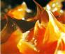 脲基脂批發(fā)，脲基脂供應(yīng)，燒結(jié)機(jī)脲基脂，脲基脂潤滑脂，