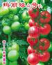 日本進口粉果西紅柿種子，紅果西紅柿種子批發(fā)，壽光萬盛種業(yè)