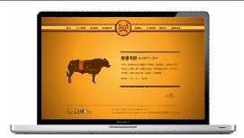福州品牌設(shè)計 福州包裝設(shè)計 福州畫冊設(shè)計 福州靈犀設(shè)計