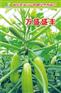 壽光萬盛種業(yè)專業(yè)進(jìn)口高產(chǎn)西葫蘆種子批發(fā)