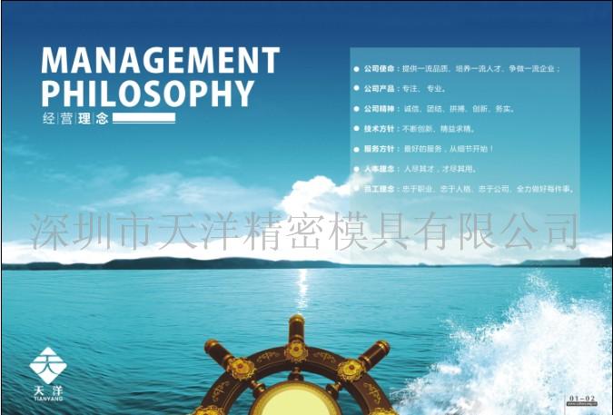 深圳市天洋精密模具有限公司