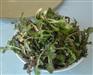 崂山农家宴哪家干净卫生 崂山农家菜哪家好 【海润泽酒店】