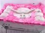 金枝玉叶碗面碗 陶瓷碗 骨瓷餐具 护边碗 16头