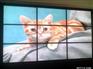 DID 40寸全高清1080P窄边液晶拼接单元