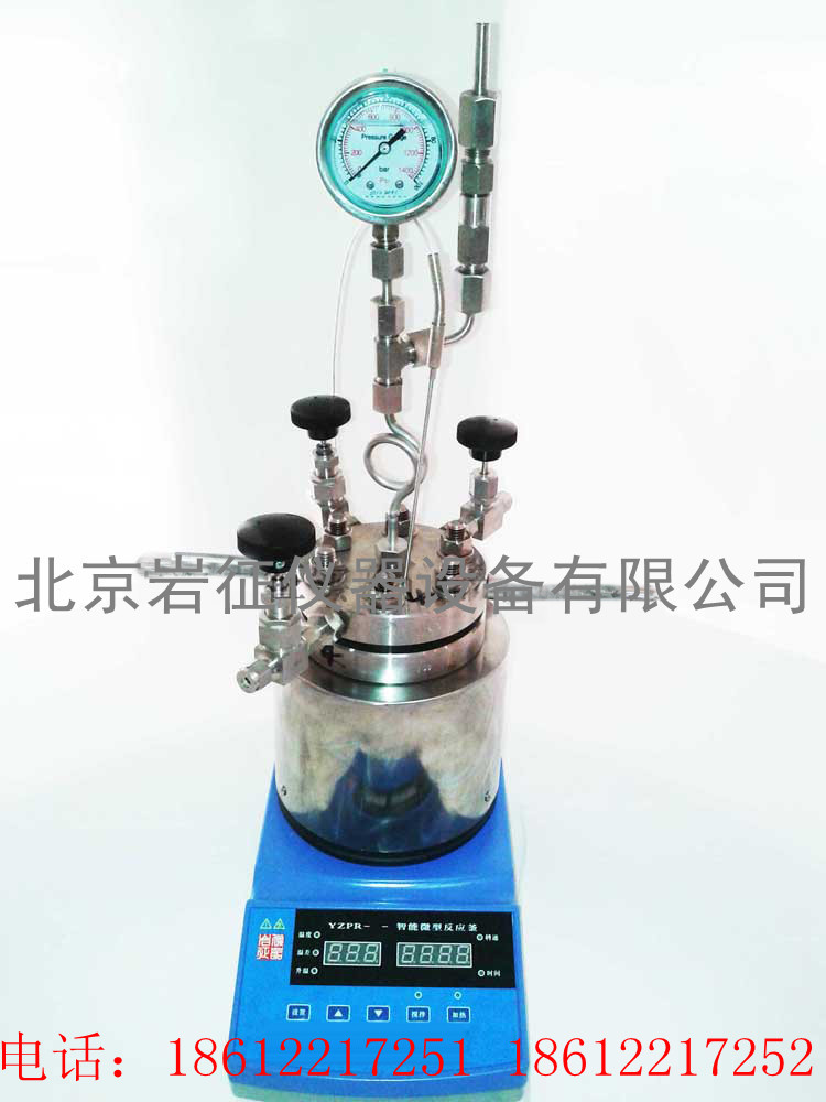 供應(yīng)湖南50ml微型高壓反應(yīng)釜，智能高壓反應(yīng)釜廠