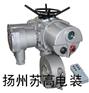 供應(yīng)DZW智能型非侵入式電動執(zhí)行器