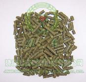 國產(chǎn)香花 苦花 捷克薩茲酒花 進(jìn)口啤酒花
