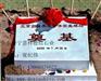 供应奠基石  标志石 价格 图片 厂家 嘉祥德信石业