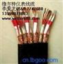 维尔特牌YGGB扁平电缆