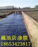 供应0.5毫米藕池土工膜价格