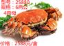 供应昆山九沐森阳澄湖大闸蟹25880
