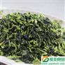 供应厂家直销青梗菜 江苏振亚食品