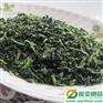 供应厂家直销万年青 江苏振亚食品