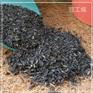 密闭气力输送利于稻壳发电